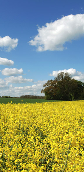 weekend breaks in the cotswolds